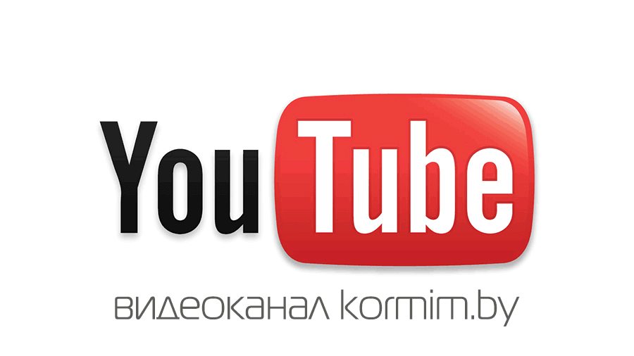 youtube chanel